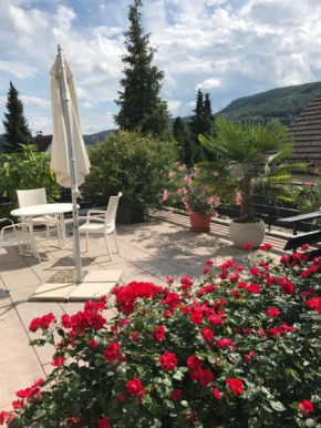 Ferienwohnung mit Terrasse bei Nürnberg